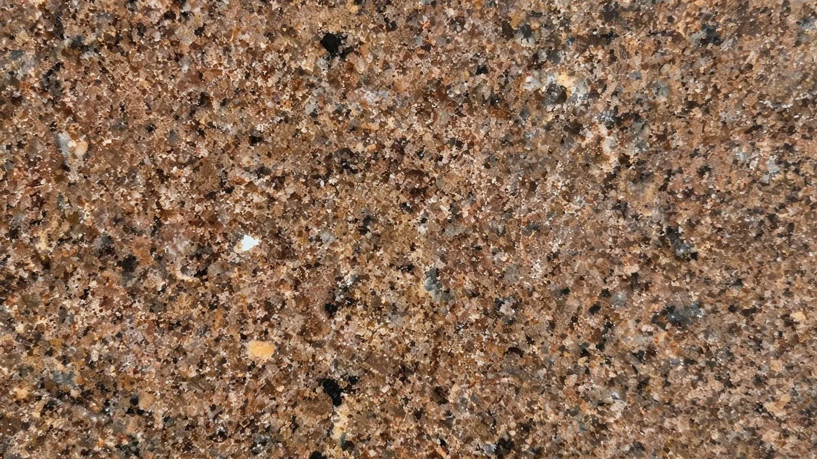 Brown Cafe Imperial Granite Tiles for Floor and Wall thumbnail 1