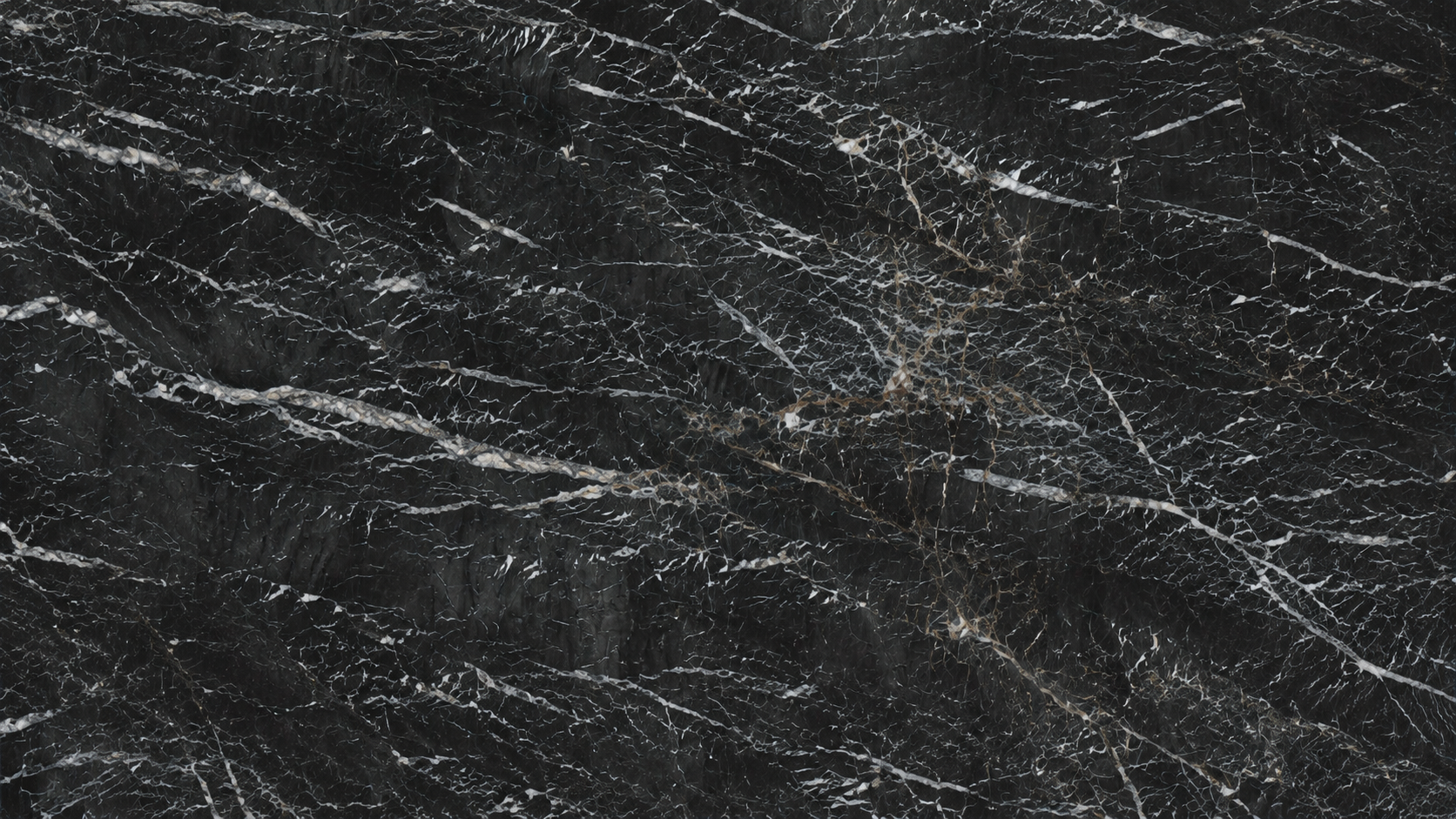 Roman Grey Color  Marble Slabs
