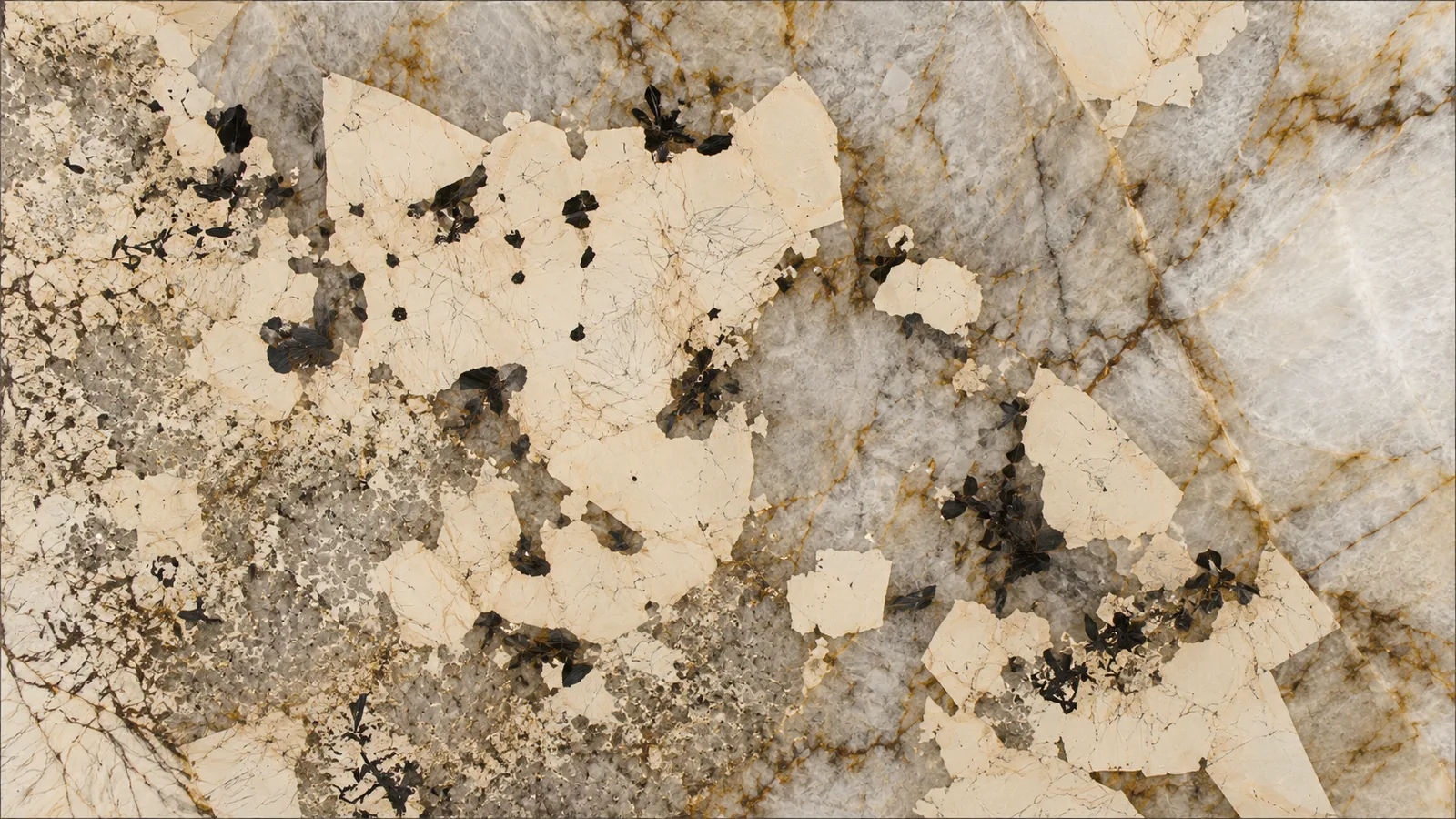 Brown Color Patagonia Marble Slabs Flooring and Wall