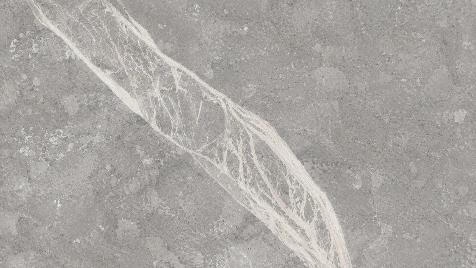 Popular Athena Grey Marble Slabs For Flooring and Wall