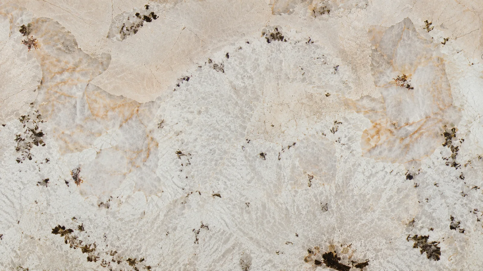 Peacock Opening White Quartzite Luxury Slabs For Dining Tops
