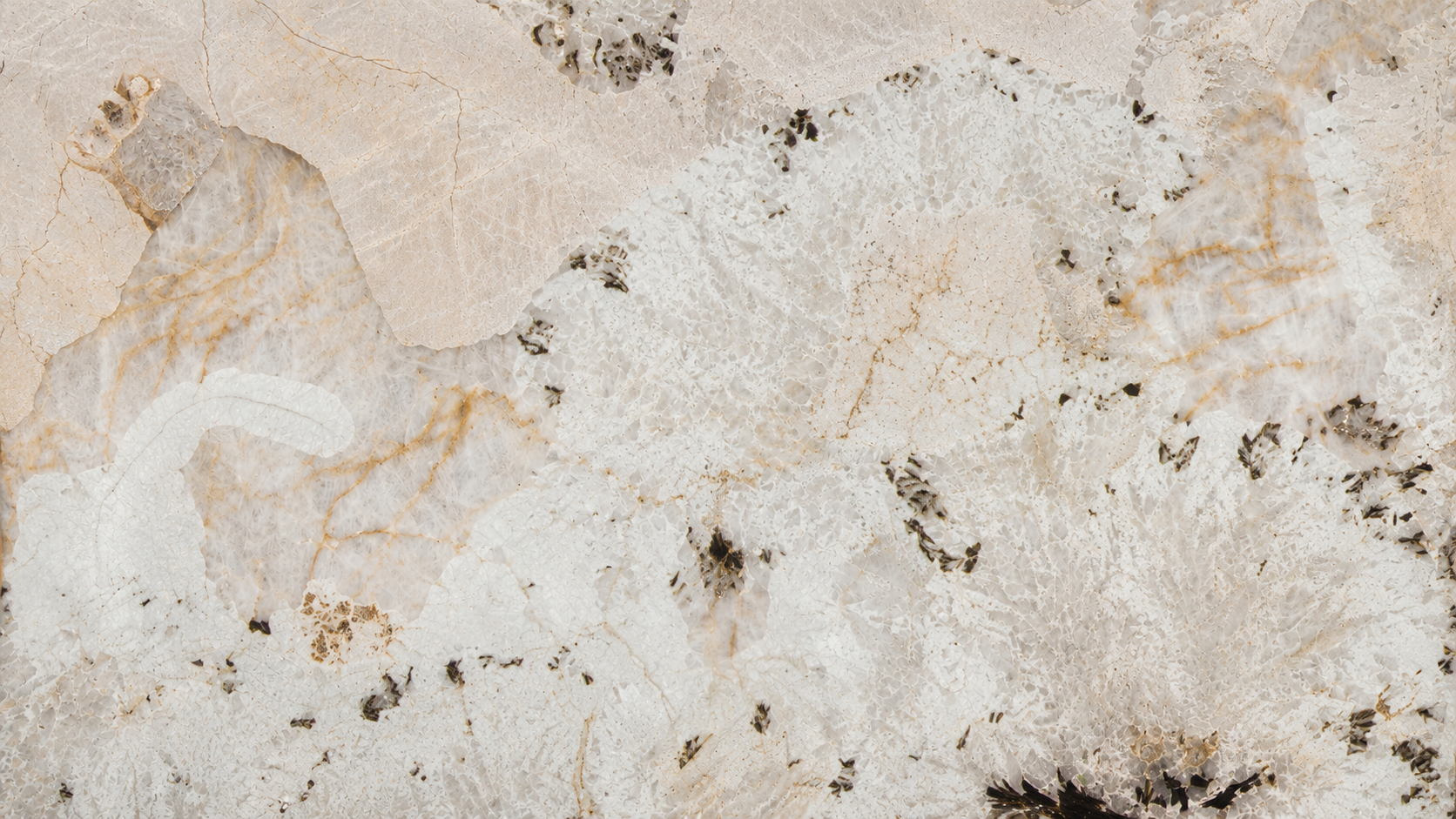 Peacock Opening White Quartzite Luxury Slabs thumbnail 2