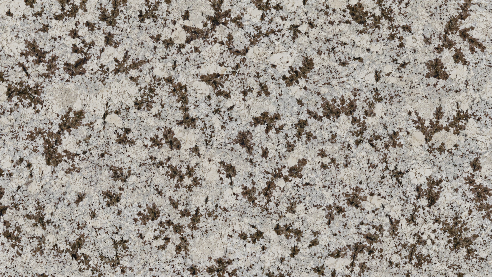 Snow Mountain Orchid White Granite Luxury Slabs thumbnail 3