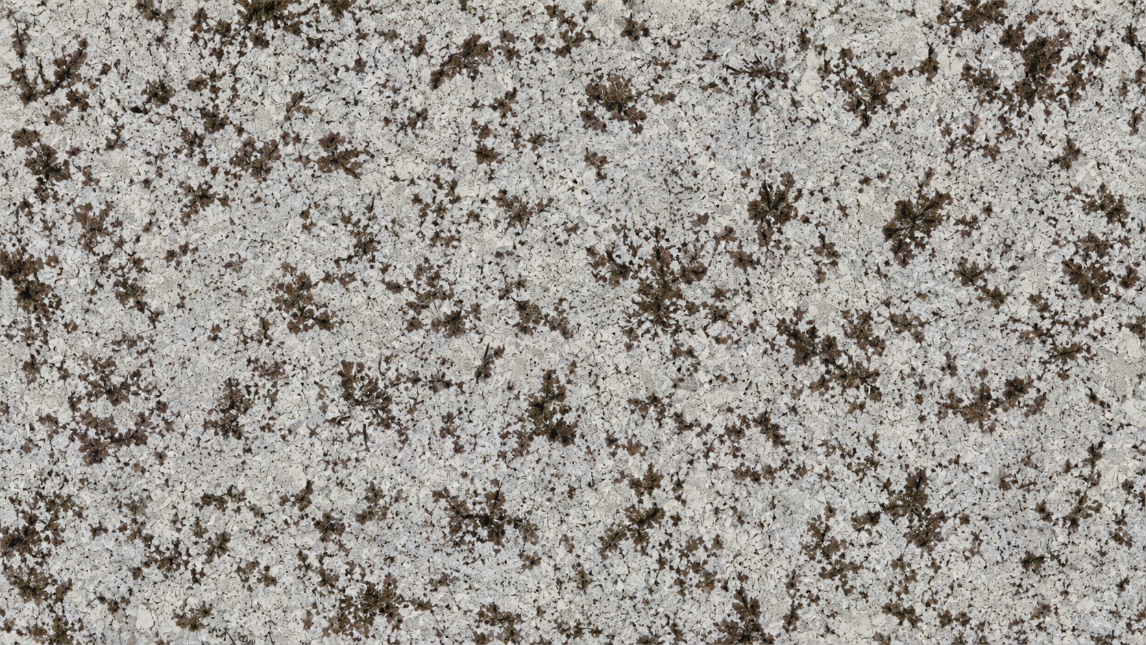 Snow Mountain Orchid White Granite Luxury Slabs thumbnail 4