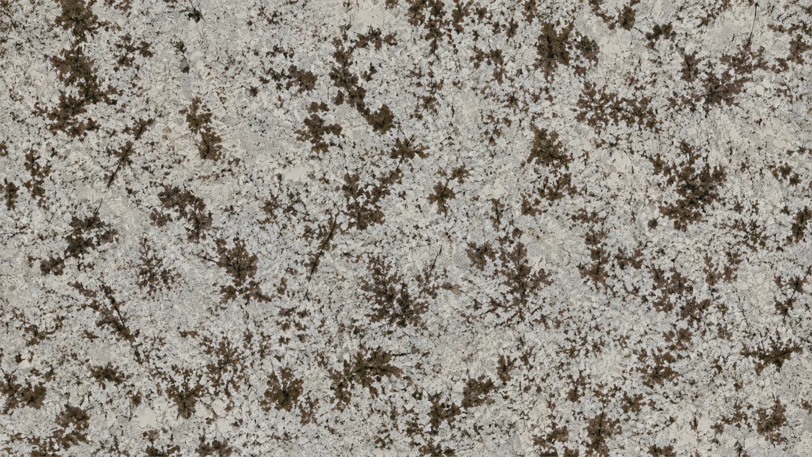 Snow Mountain Orchid White Granite Luxury Slabs For Dining Tops