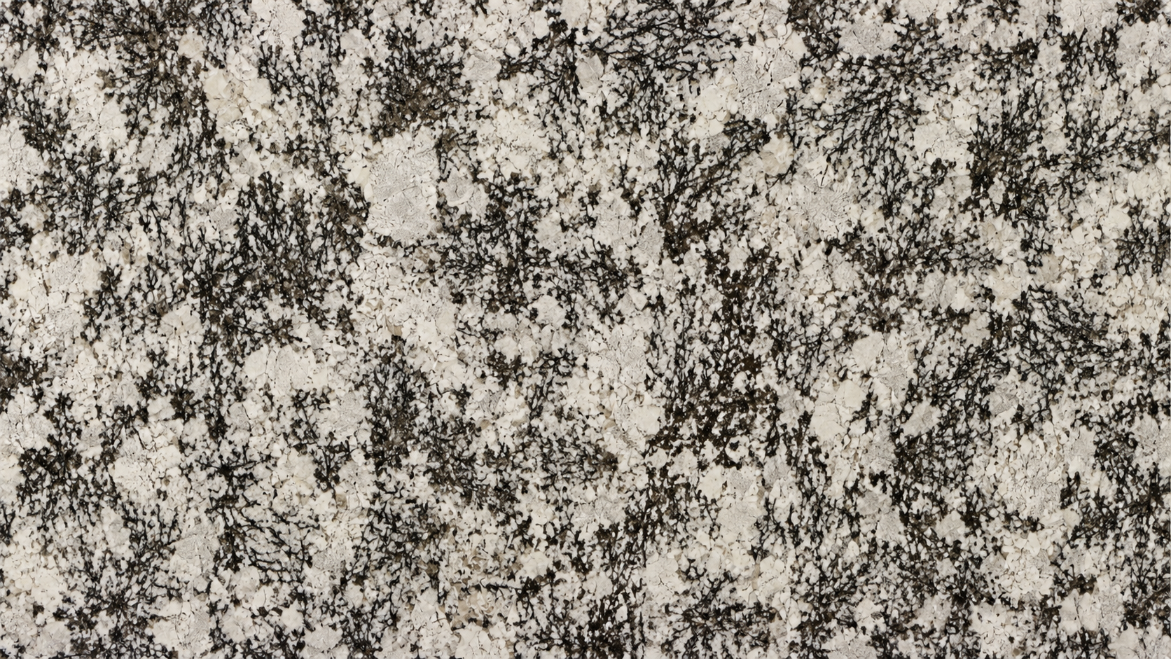 Splendor White Granite Luxury Slabs For Stairs thumbnail 4