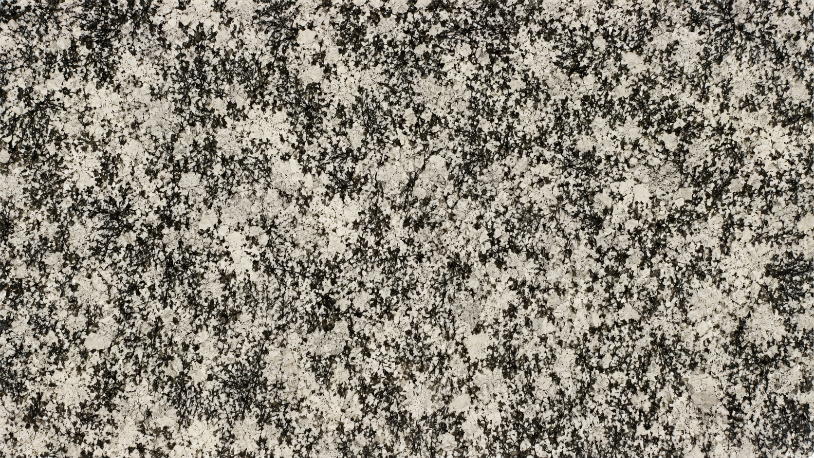 Splendor White Granite Luxury Slabs For Stairs