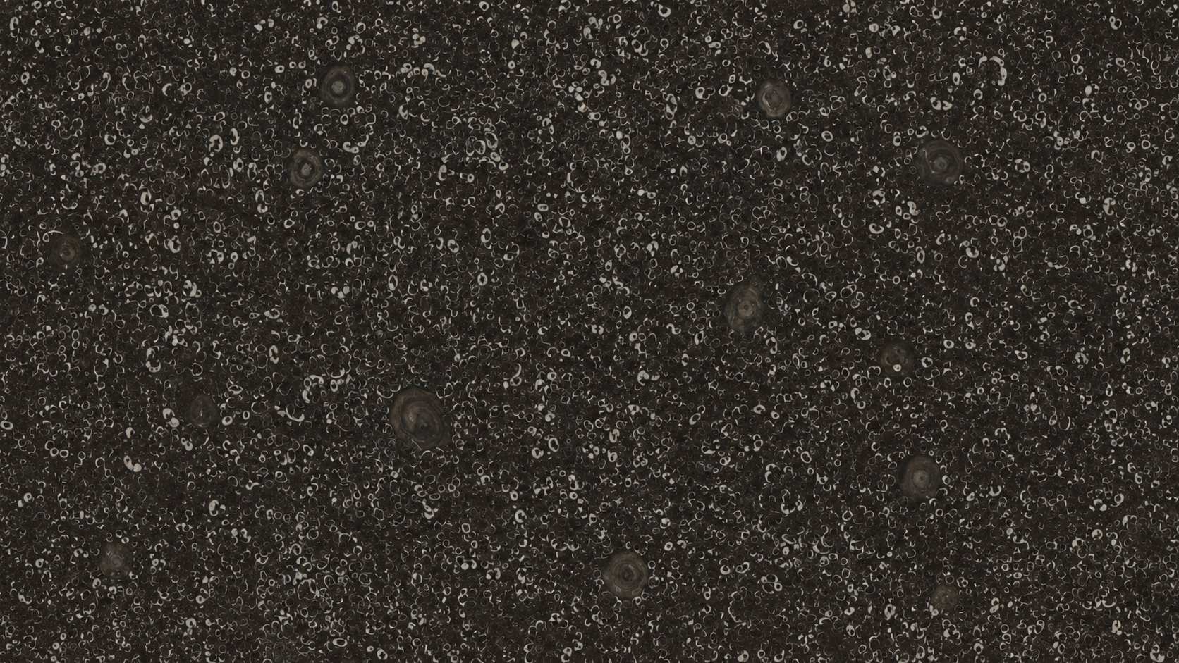 Sea Shell Black Marble Luxury Slabs For Bar Tops