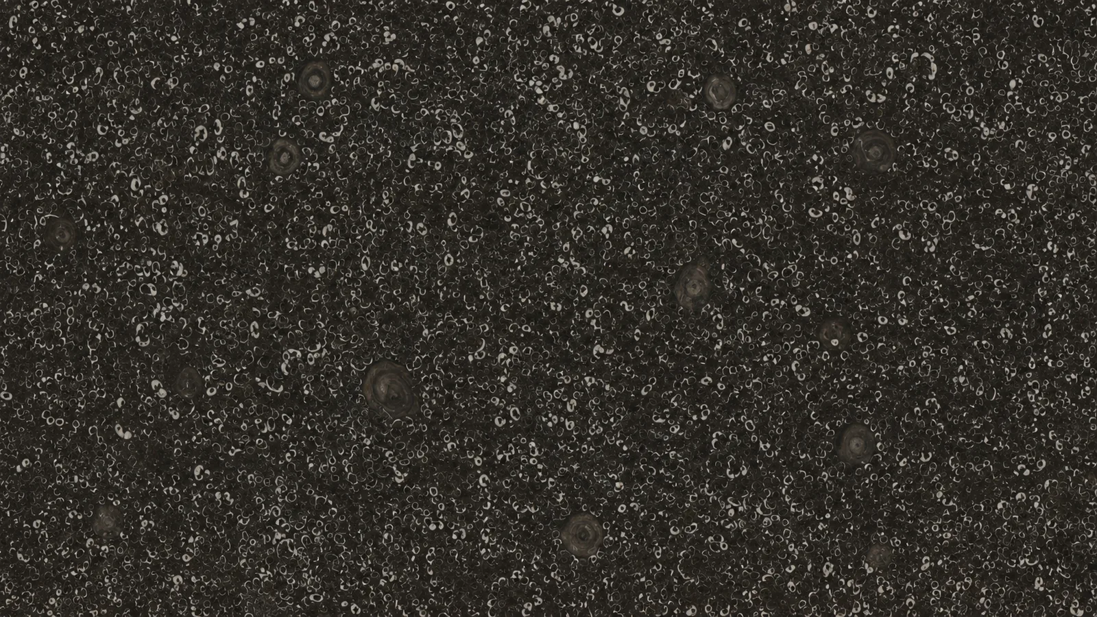 Sea Shell Black Marble Luxury Slabs For Bar Tops