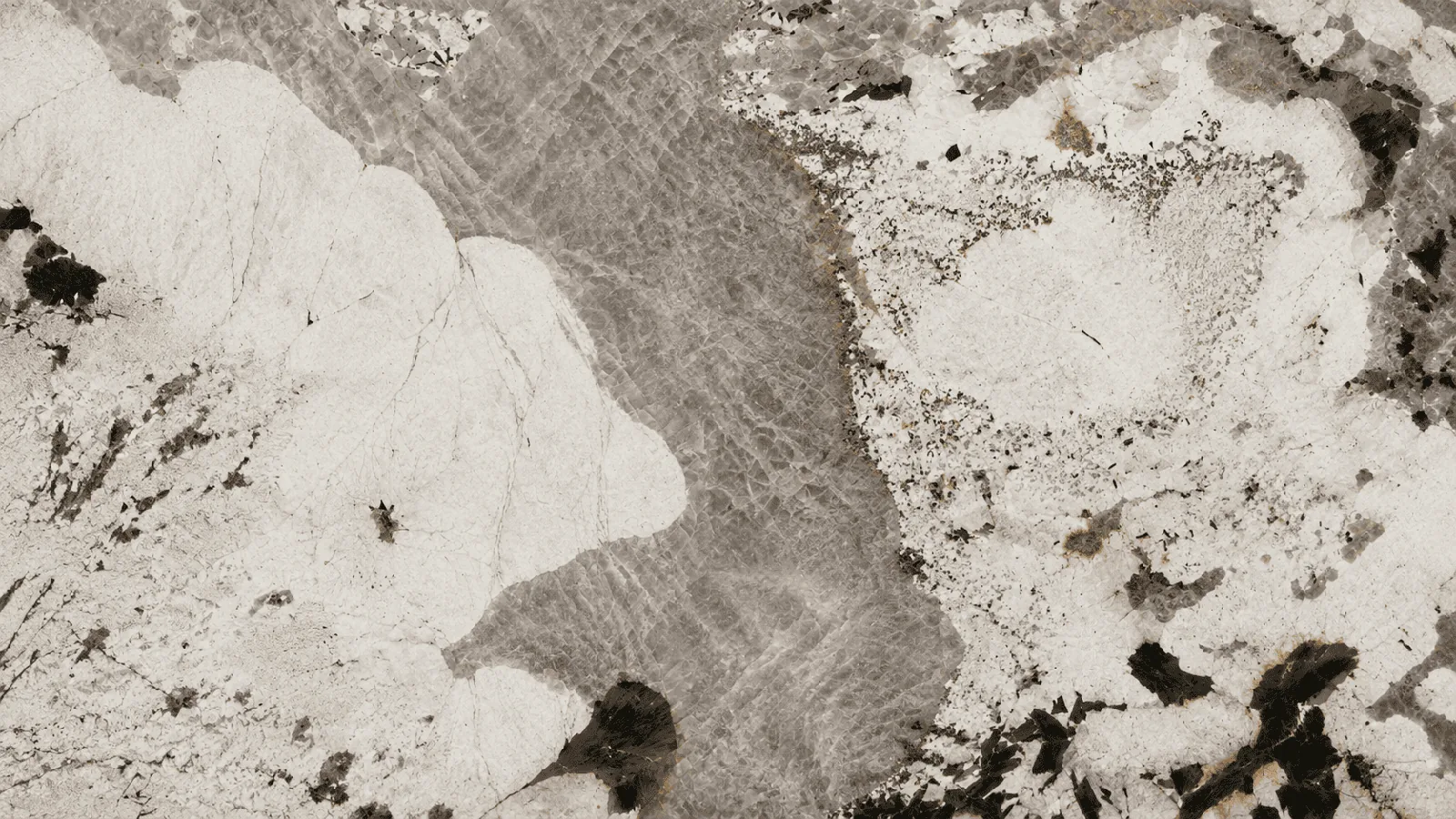 Grey Pandora Marble Slabs For Polished and Honed