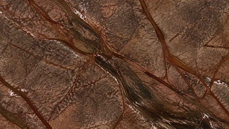 Rainforest Brown  Natural Brown Marble tiles For Flooring and Countetop thumbnail 2