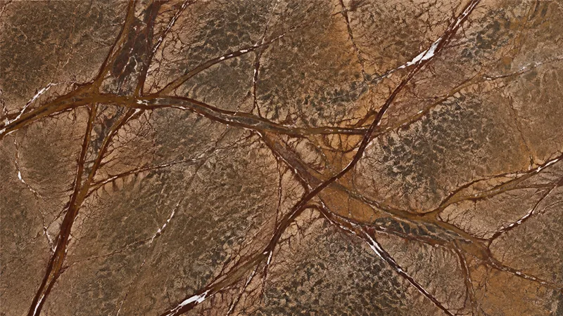 Rainforest Brown  Natural Brown Marble slabs For Flooring and Countetop
