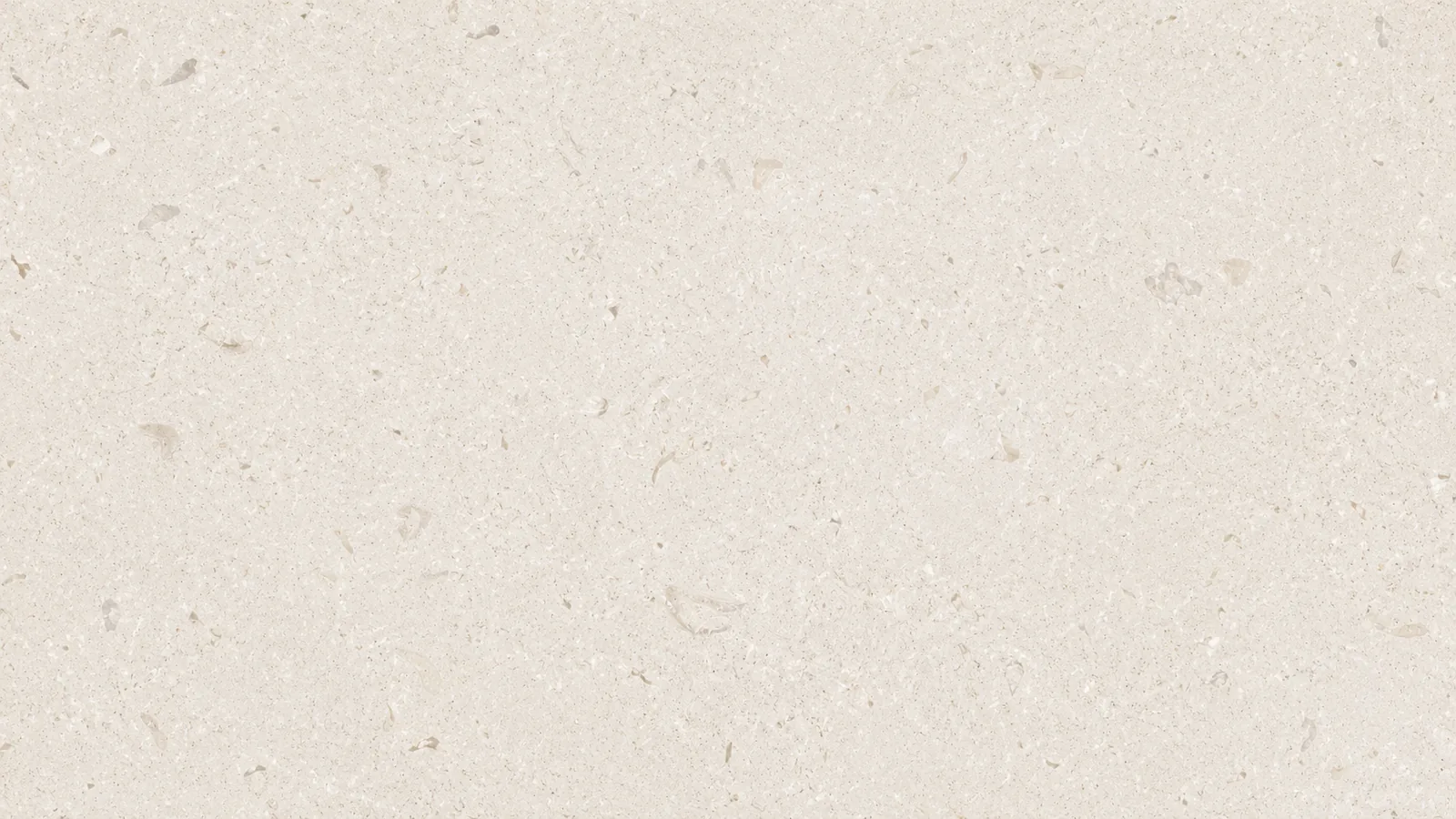 Shell Beige Fossil Limestone Slabs For Dining Tops thumbnail 3