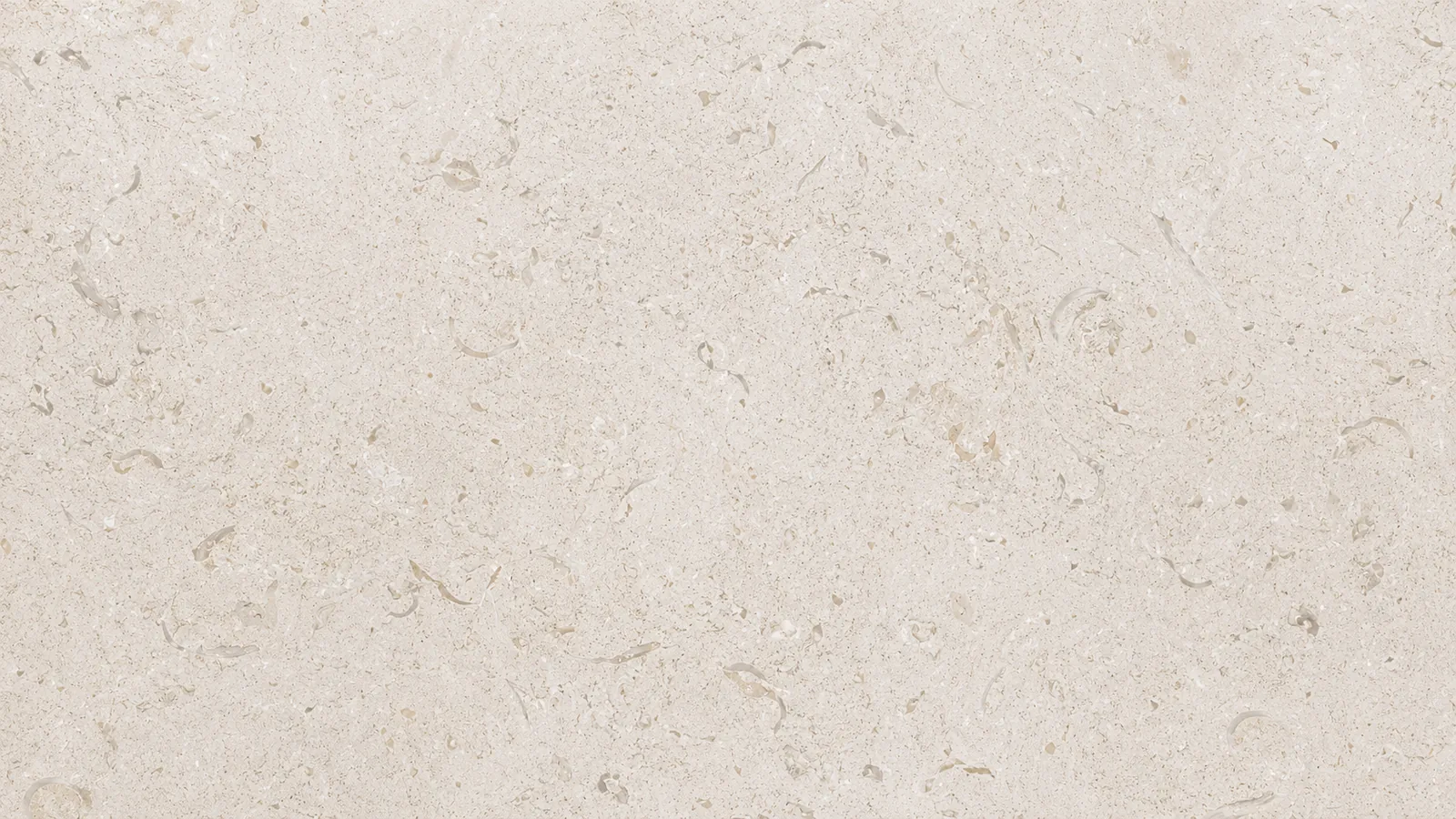 Shell Beige Fossil Limestone Slabs For Dining Tops
