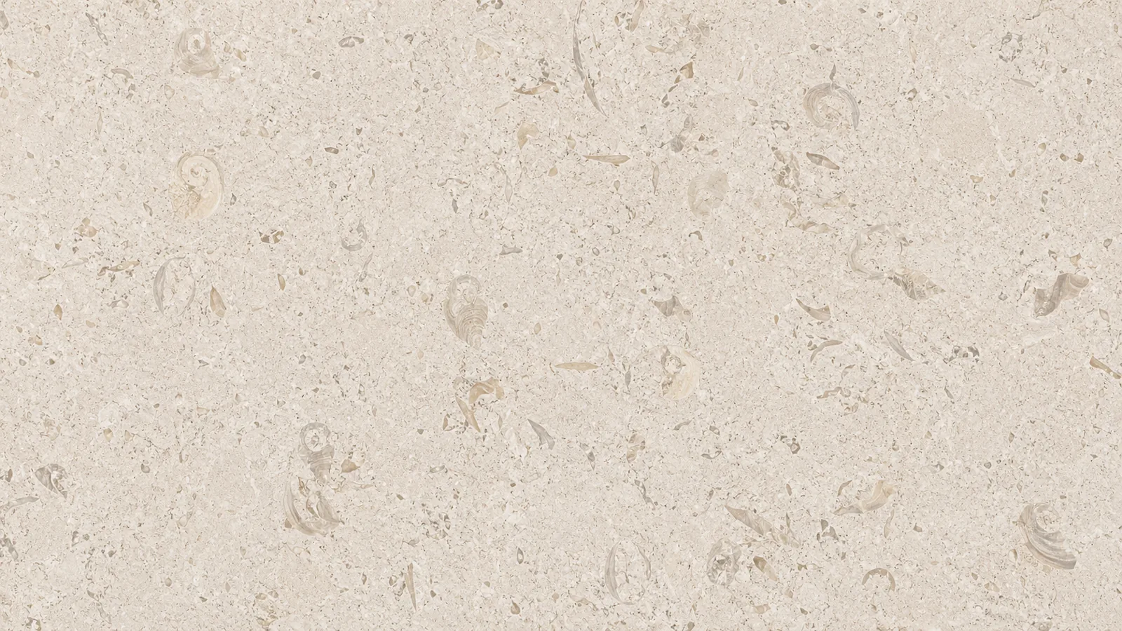 Shell Beige Fossil Limestone Slabs For Dining Tops thumbnail 4