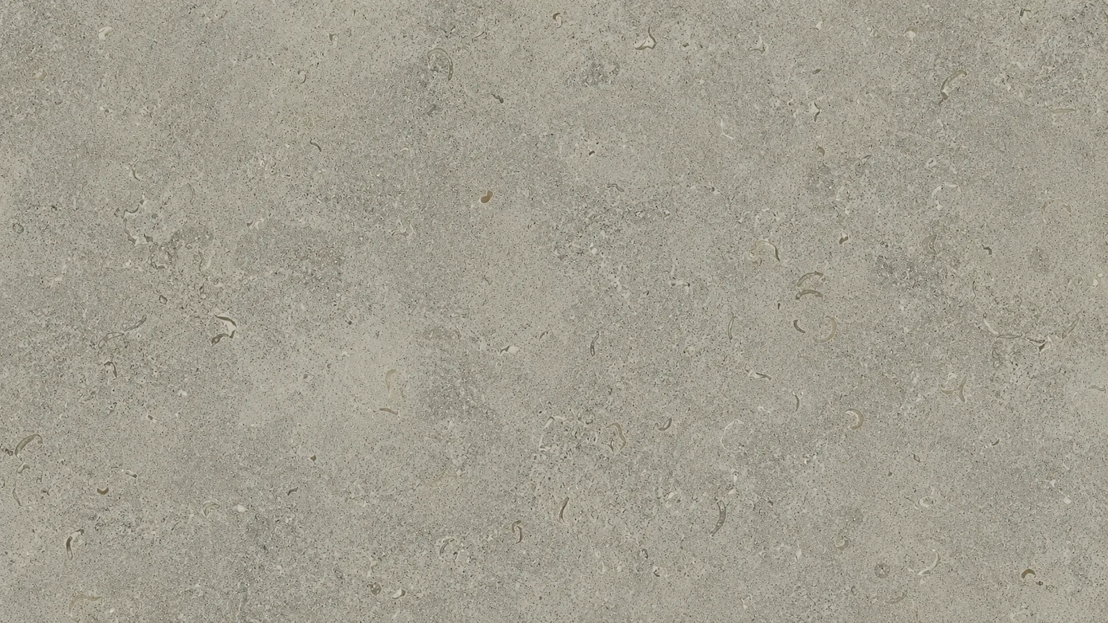 Angola Grey Limestone Tiles For Dining Tops thumbnail 2
