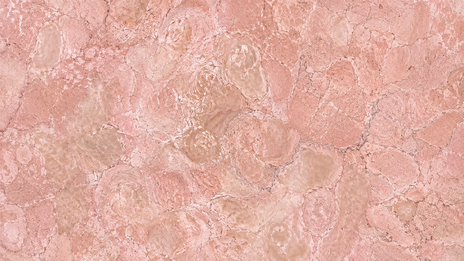 Desert Pink Marble  Natural Pink Marble tiles For Flooring and Vanity Top thumbnail 3