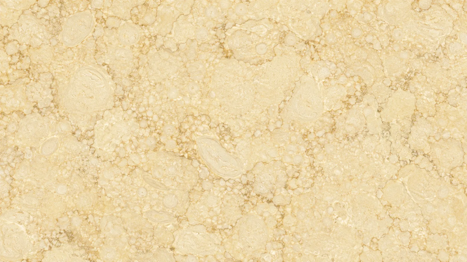 Sunny Gold Marble Natural Gold Marble tiles For Flooring and Vanity Top thumbnail 2