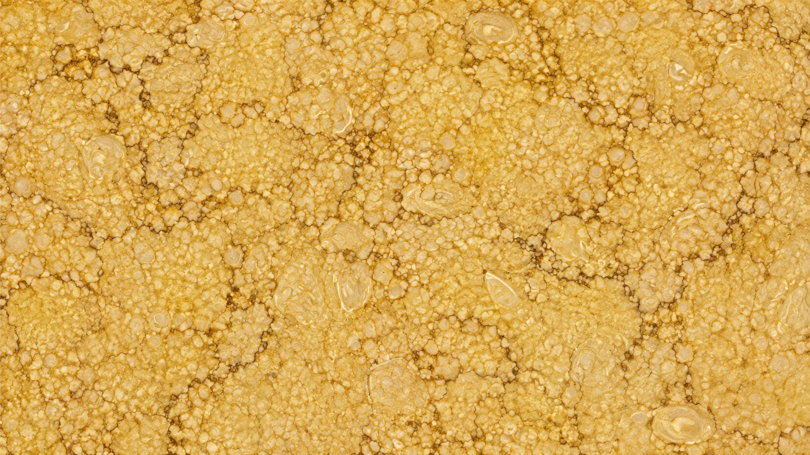 Sunny Gold Marble Natural Gold Marble tiles For Flooring and Vanity Top thumbnail 3