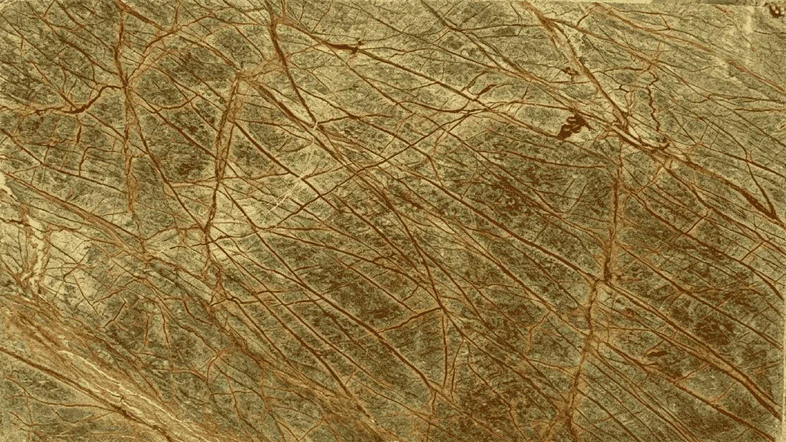 Rainforest Green Marble Big Tiles for Floor Wall Countertop thumbnail 2