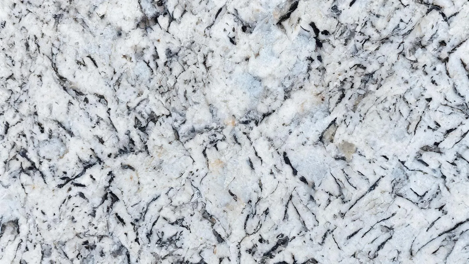 White Alaska Granite Tiles for Floor and Wall