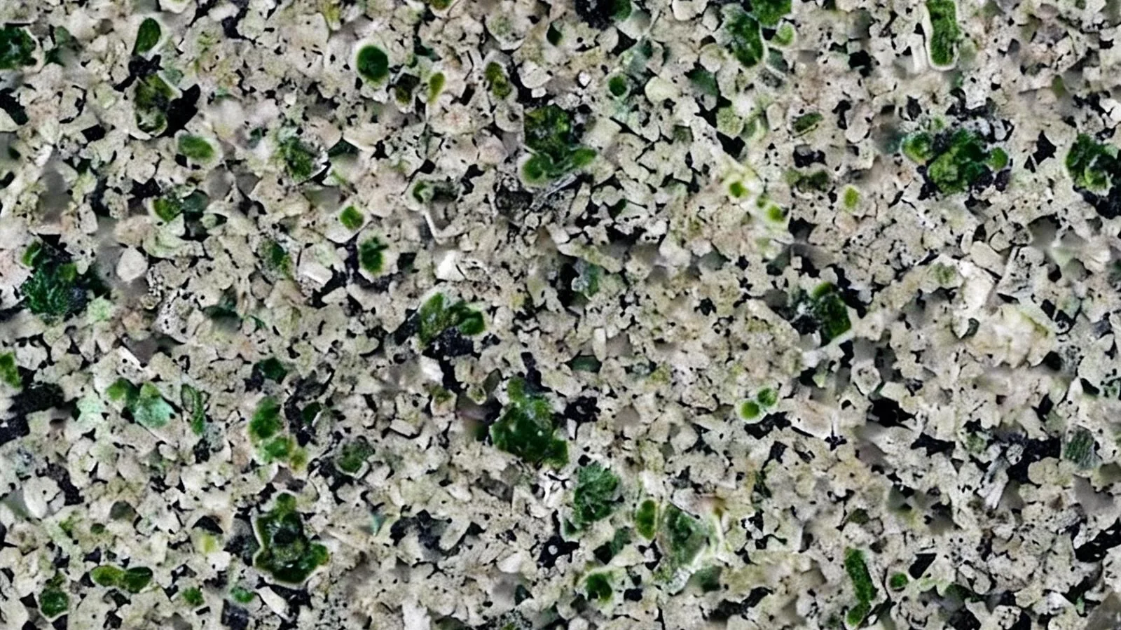 Green Verdy Ghazal Granite Slabs for Floor and Wall thumbnail 2