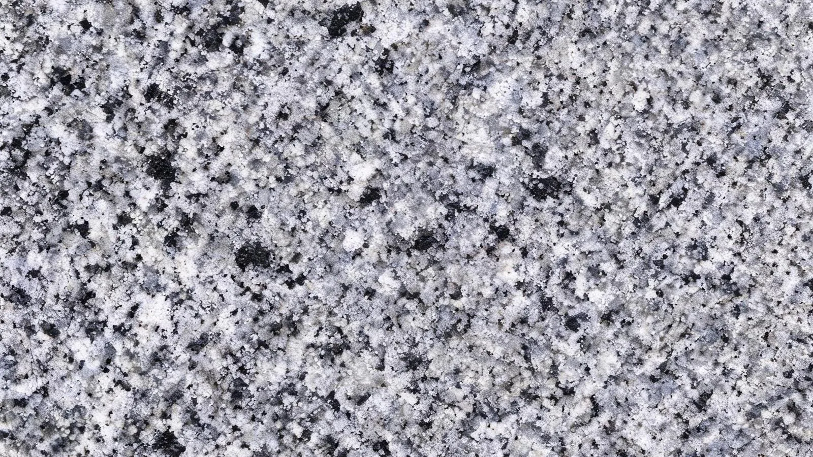 Grey Halayeb Granite Slabs for Floor and Wall thumbnail 2