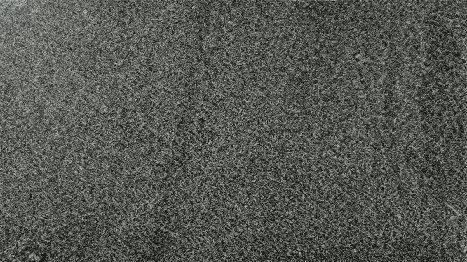 Black G654 Dark Sesame Granite Slabs for Floor and Wall