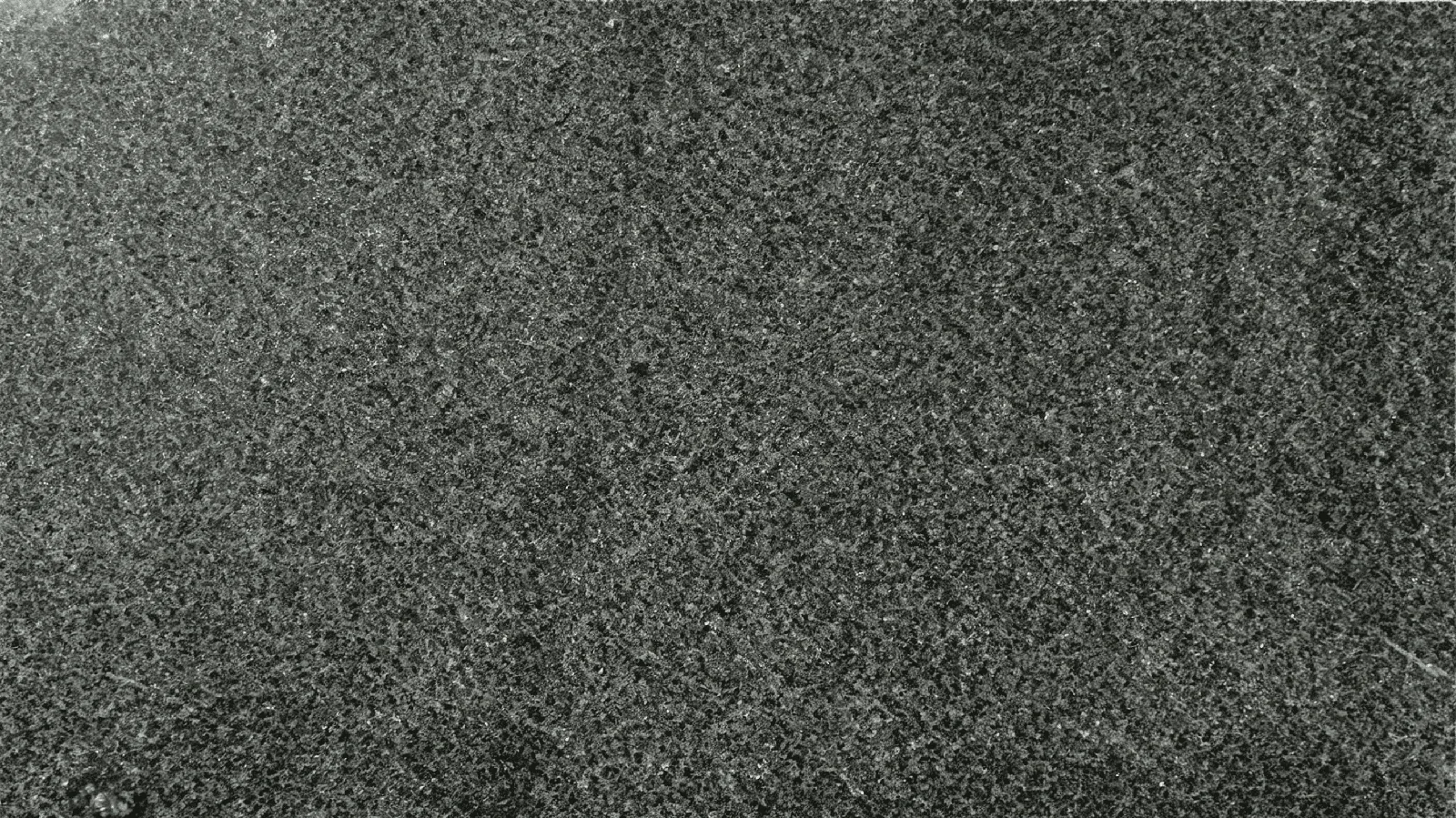 Black G654 Dark Sesame Granite Slabs for Floor and Wall thumbnail 2
