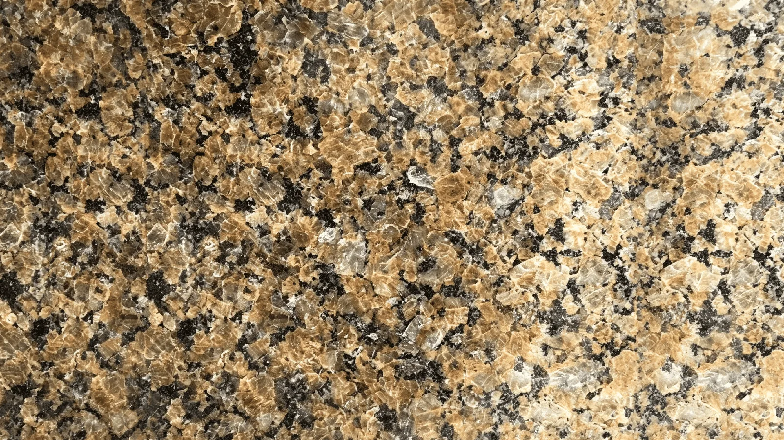Brown Tropical Brown Granite Natural Granite Slabs For Flooring and Vanity Top thumbnail 2