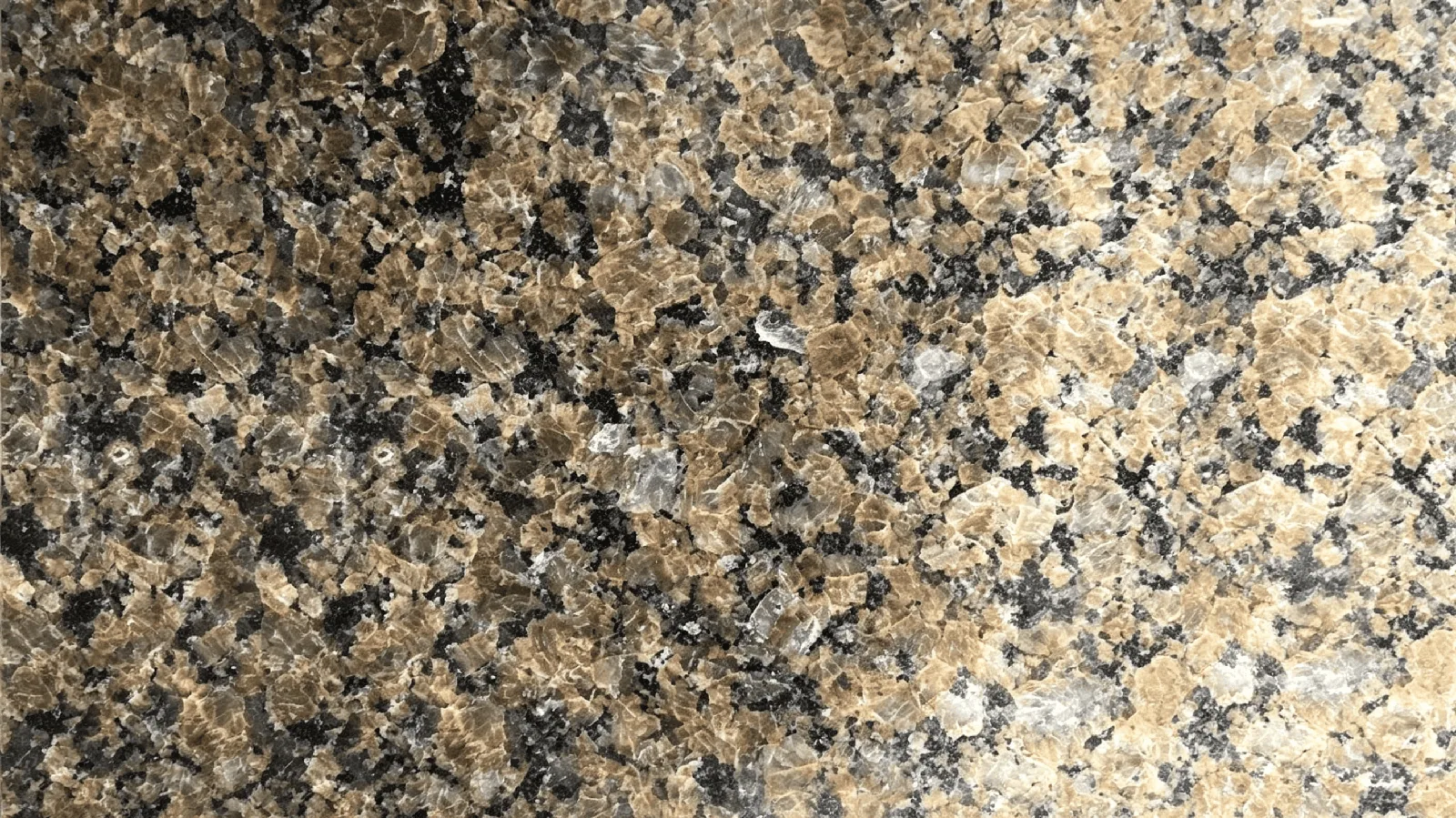 Brown Tropical Brown Granite Natural Granite Tiles For Flooring and Vanity Top thumbnail 4