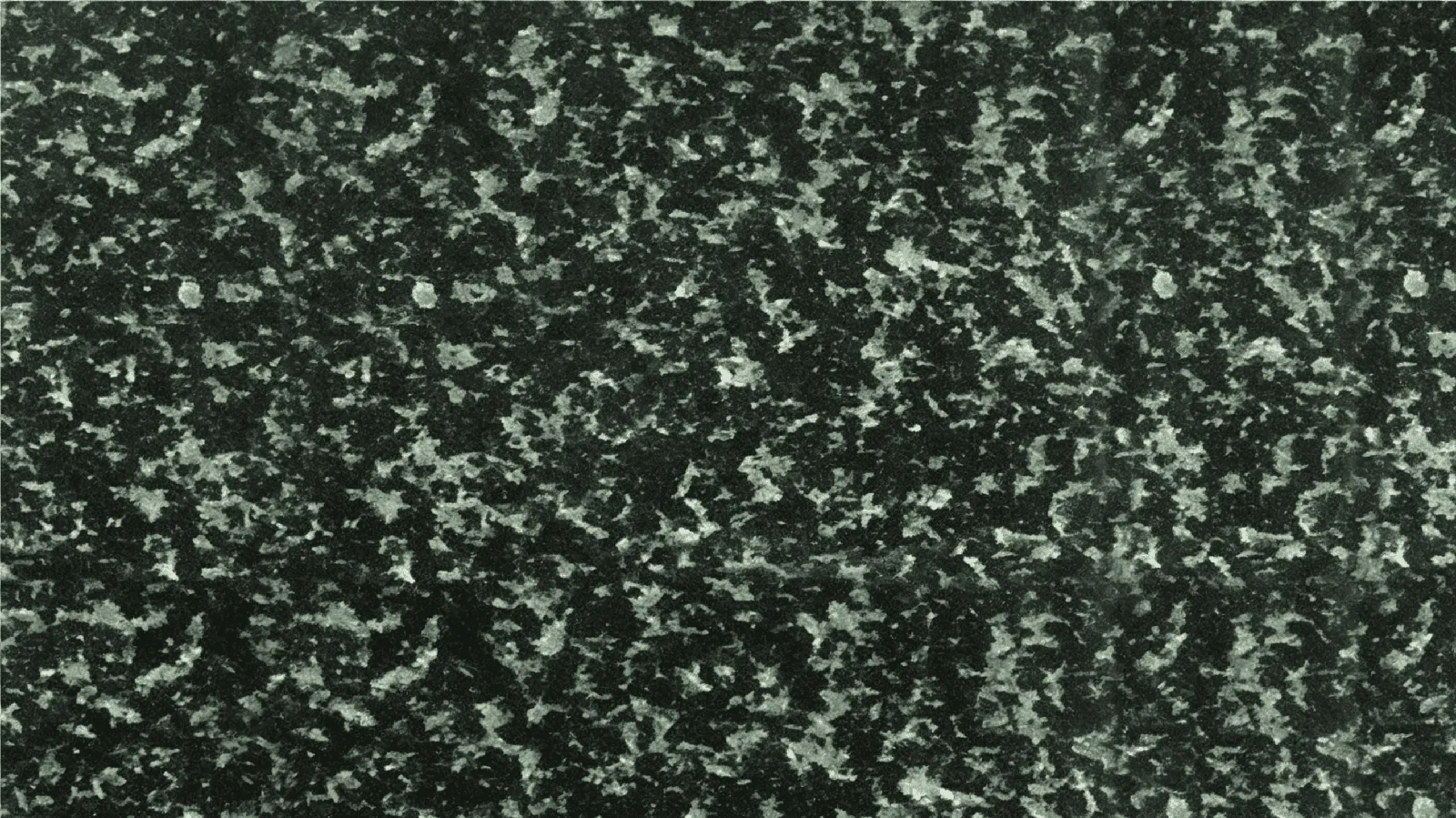 Green Hassan Granite Slabs for Floor and Wall thumbnail 2
