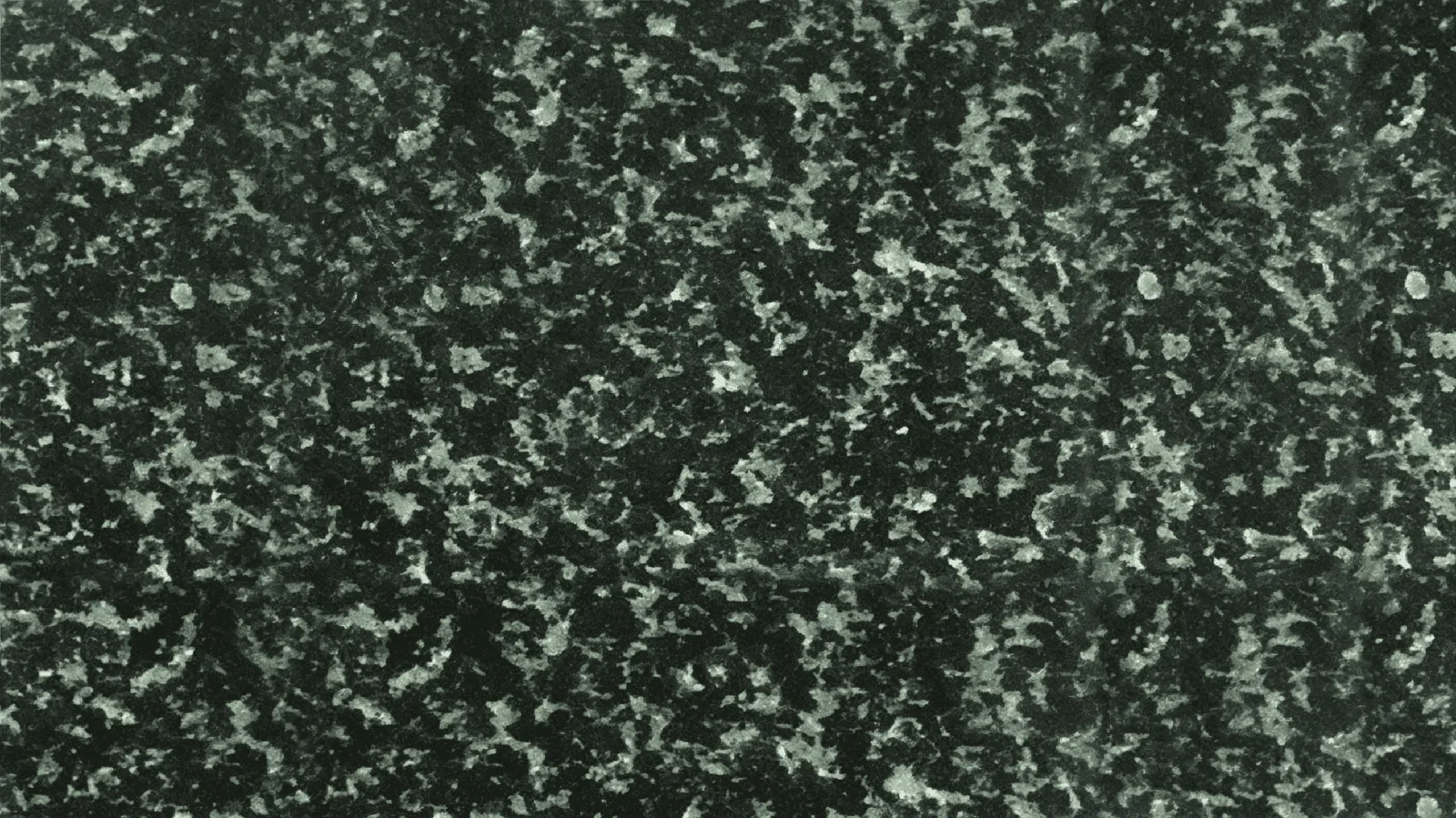Green Hassan Granite Slabs for Floor and Wall thumbnail 4