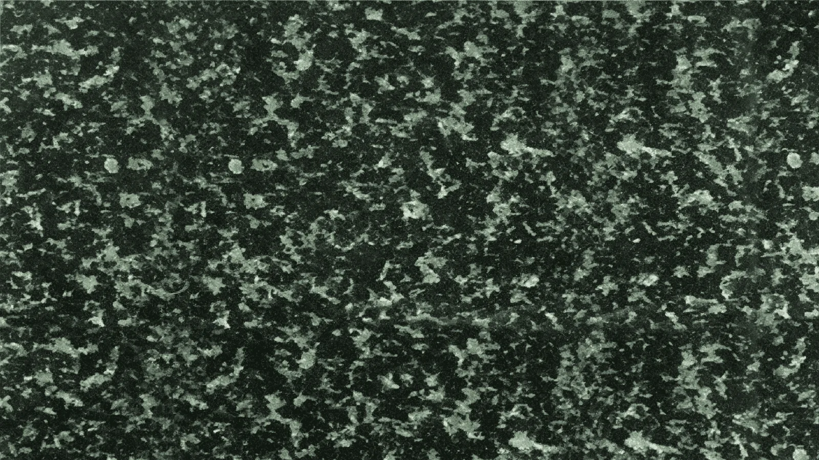Green Hassan Granite Tiles for Floor and Wall