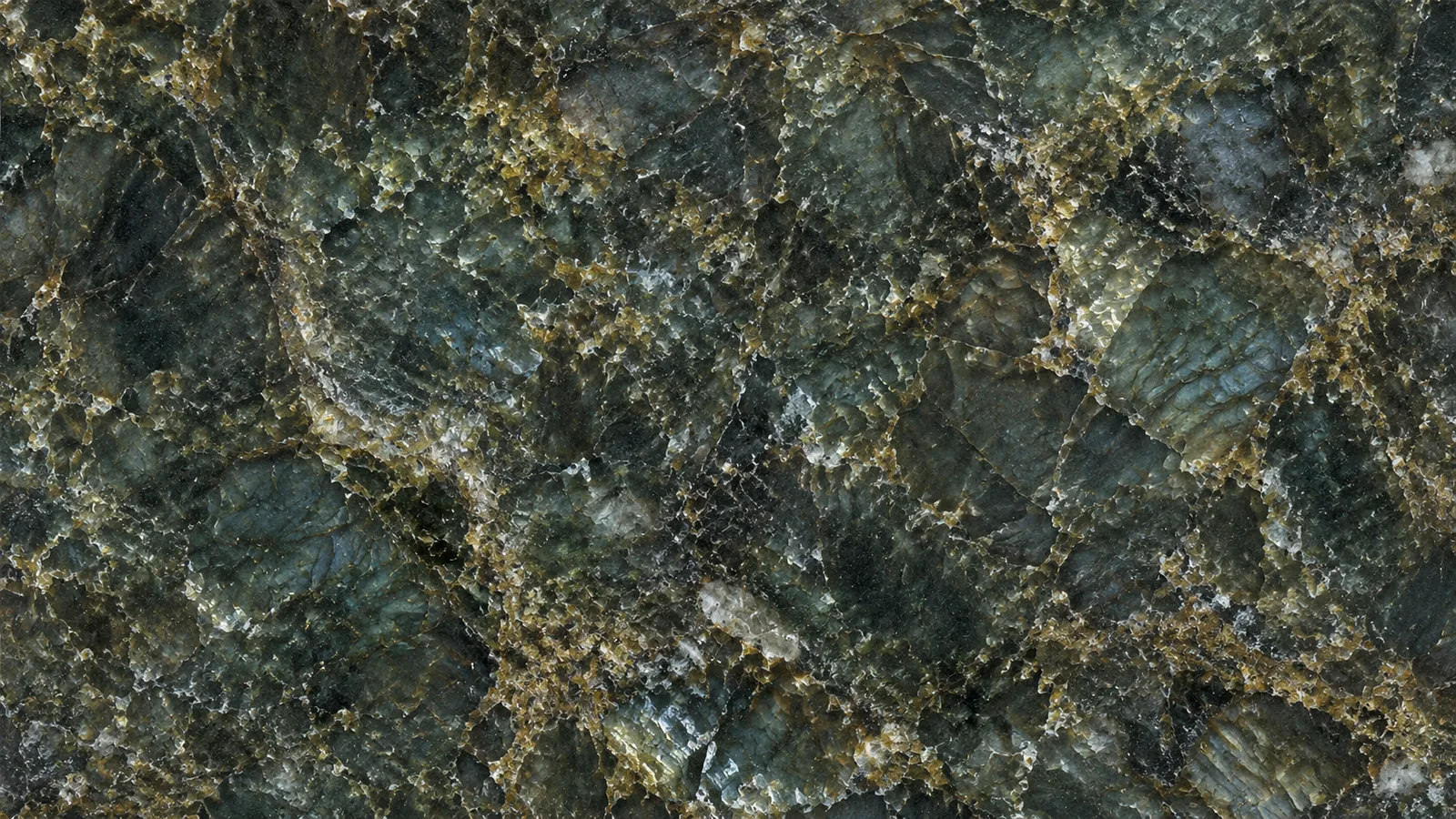 Green Verde Butterfly Polished Granite Slabs for Floor and Wall