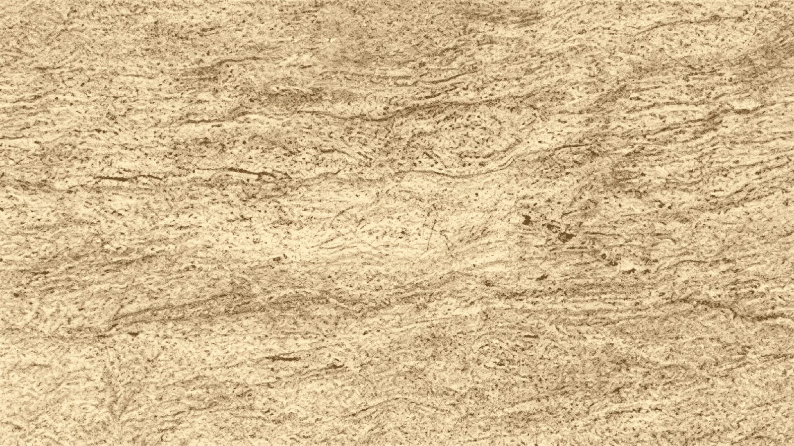 Kashmir Gold Granite Slabs for Floor and Wall