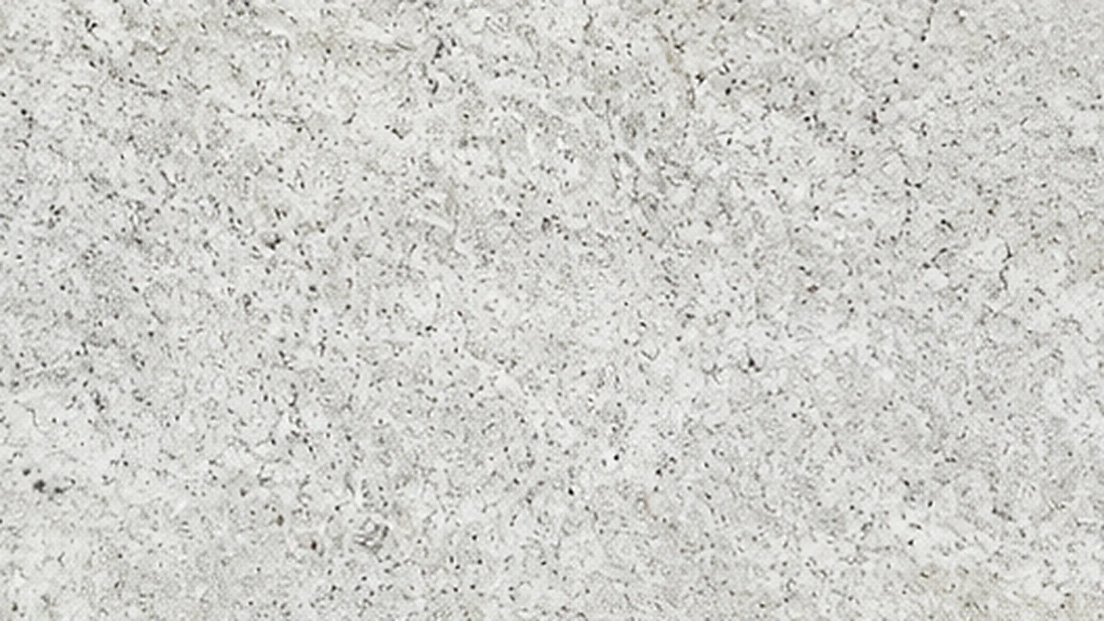 Semi White Colonial White Granite slabs for home decor and hotel wall cladding thumbnail 2