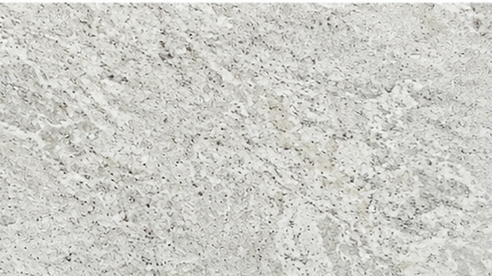 Semi White Colonial White Granite slabs for home decor and hotel wall cladding thumbnail 3