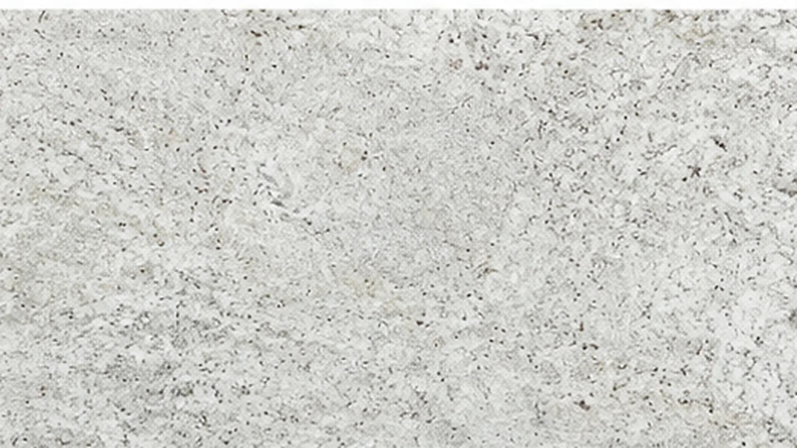 Semi White Colonial White Granite slabs for home decor and hotel wall cladding thumbnail 5