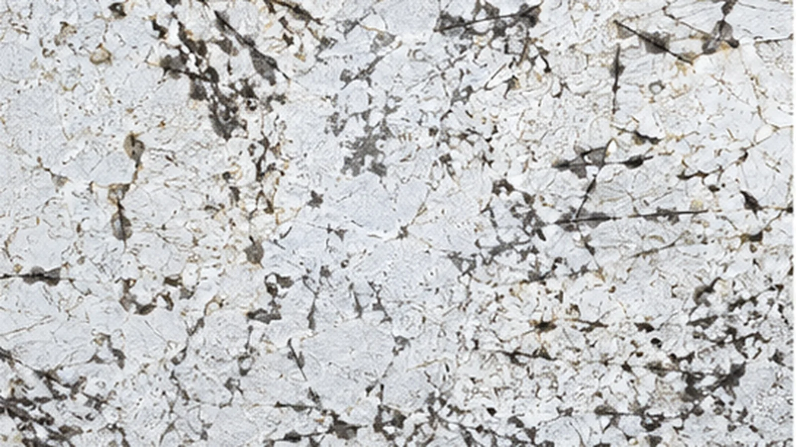Semi white Granito Exótico Everest White Granite slabs for floor and hotel interior using thumbnail 3