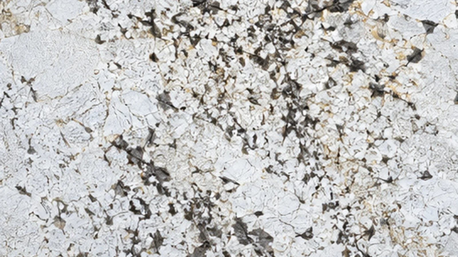 Semi white Granito Exótico Everest White Granite slabs for floor and hotel interior using thumbnail 4