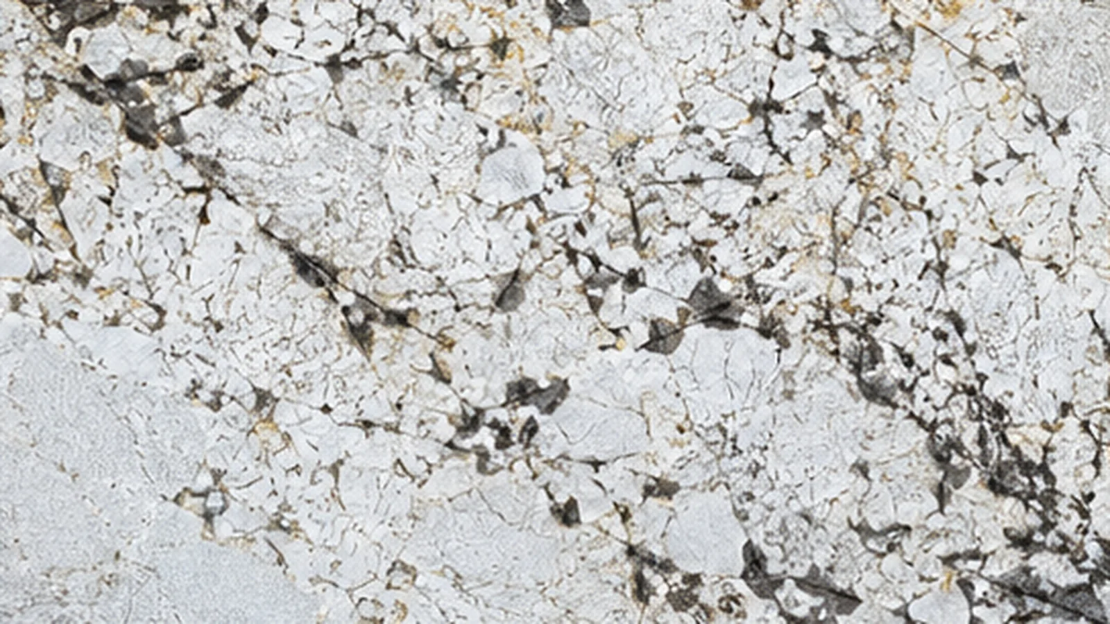 Semi white Granito Exótico Everest White Granite slabs for floor and hotel interior using thumbnail 5
