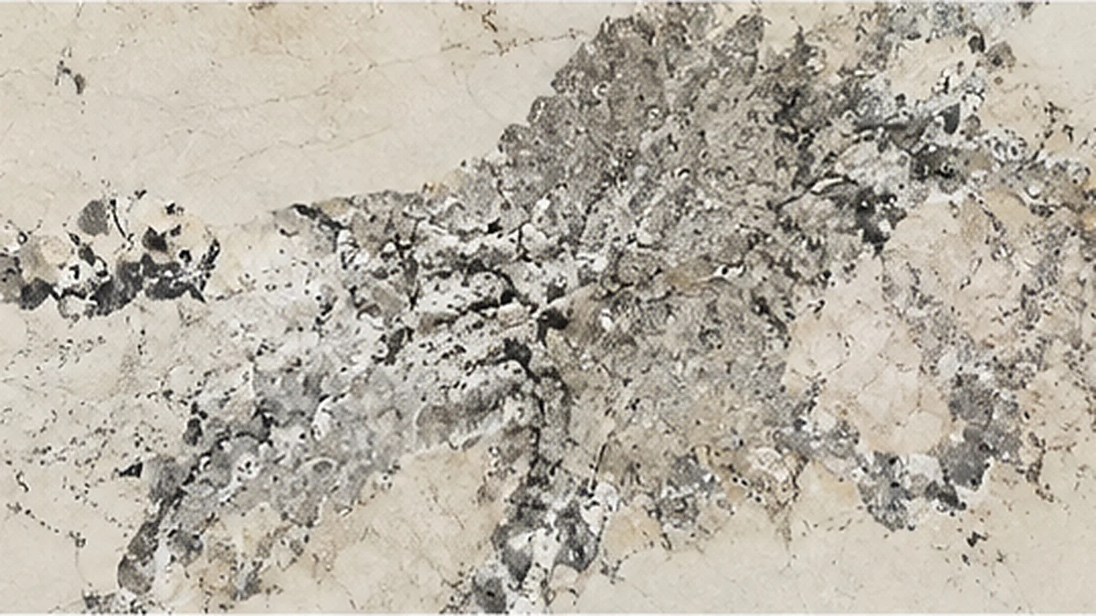 Semi White Pandora white granite slabs for home decor hotel decoration Kitchen countertop thumbnail 3